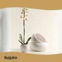 Ver imagem 3 de Vaso Cerâmica Esmaltado Linha Intense (12) Branco Burguina