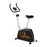Bicicleta Ergométrica Athletic Magnetron 1040BV até 150 kg 03795 - 1