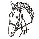 Ver imagem 1 de Cara de Cavalo em Chapa de Ferro