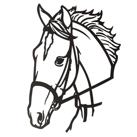 Cara de Cavalo em Chapa de Ferro