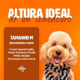 Comedouro Elevado Individual Cão Porte M Branco - 3