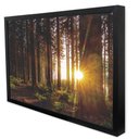 Ver imagem 2 de Quadro Decorativo Caixa As Árvores e o Nascer do Sol Tacolado Moldura Caixa 3cm Madeira sem Vidro 8