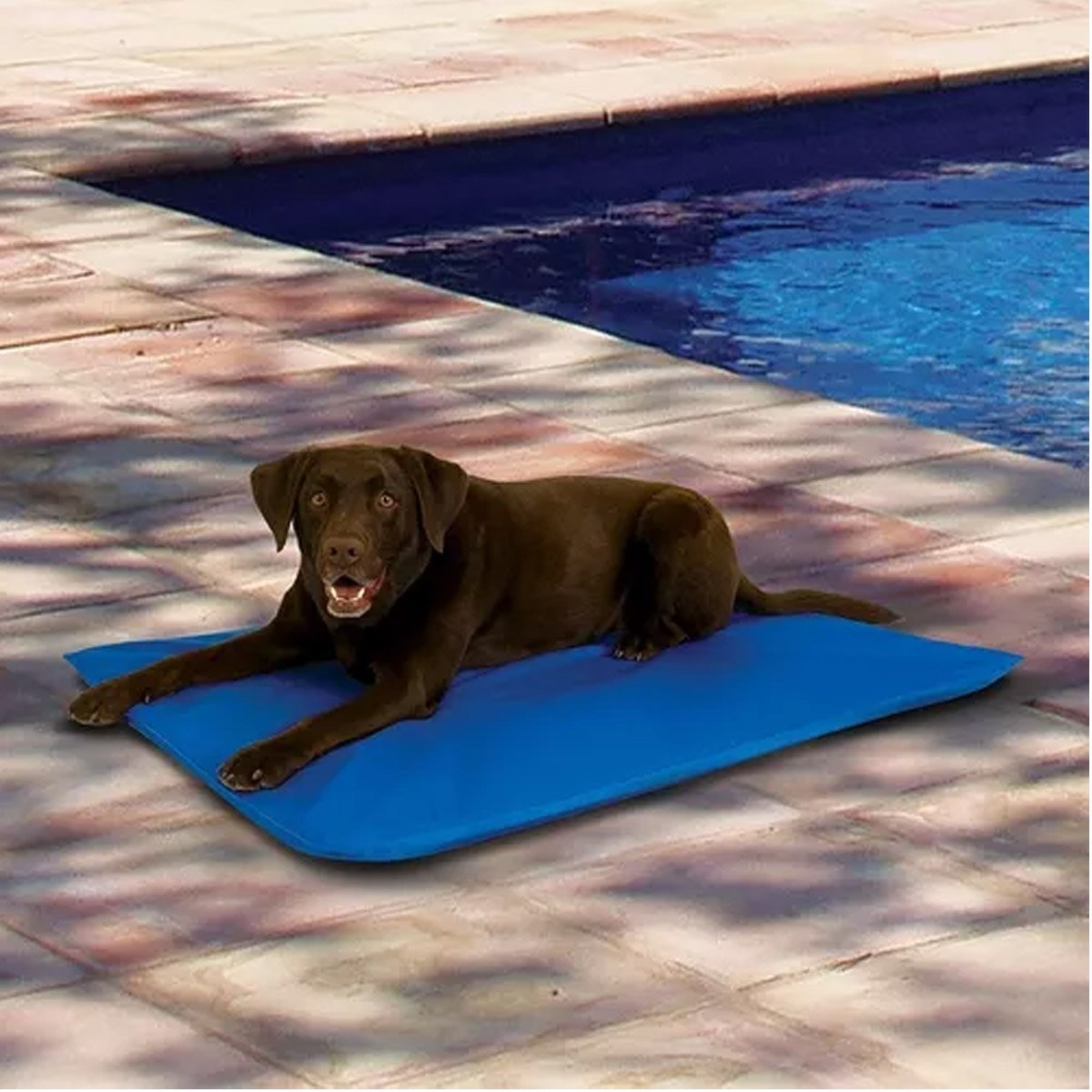 Tapete Gelado Cao Pet Gato Cachorro Refrescante 50x90cm Macio Confortavel Animal de Estimaçao Colcho - 2