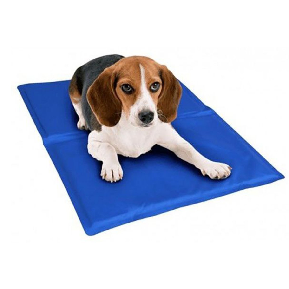 Tapete Gelado Cao Pet Gato Cachorro Refrescante 50x90cm Macio Confortavel Animal de Estimaçao Colcho - 6