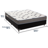 Cama Box e Colchão Light Espuma D33 Casal Ortobom: Preto - 3