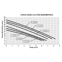 Ver imagem 6 de Bomba Centrifuga Syllent Re42m050 - 220 / Ap (tbha) 1/2 Cv - 220v