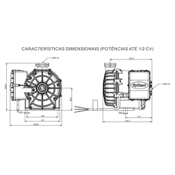 Bomba Centrifuga Syllent Re42m050 - 220 / Ap (tbha) 1/2 Cv - 220v - 8