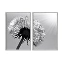 Ver imagem 1 de Kit 02 Quadros Decorativos - Dente de Leao Preto e Branco Flnt015k - Tela Canvas - 60x80cm