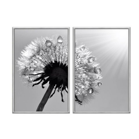 Kit 02 Quadros Decorativos - Dente de Leao Preto e Branco Flnt015k - Tela Canvas - 60x80cm