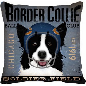 Almofada Border Colie