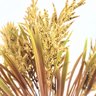 Capim Dos Pampas com Flor Bege 34cm Planta Artificial - 4