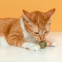Ver imagem 4 de BOLINHA DE CATNIP MACIÇA 18G PARA GATOS PET