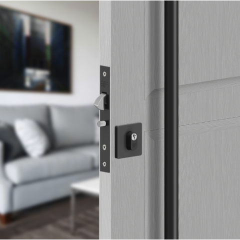 Fechadura Bico de Papagaio