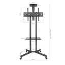 Ver imagem 5 de Suporte Pedestal para Tv 32 a 70 com Rodízios Rack-100 Aquário