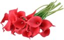 Ver imagem 1 de Kit com 9 Flores Copos de Leite Vermelho Toque Real Buque