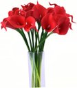 Ver imagem 3 de Kit com 9 Flores Copos de Leite Vermelho Toque Real Buque