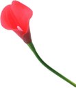 Ver imagem 5 de Kit com 9 Flores Copos de Leite Vermelho Toque Real Buque