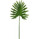 Ver imagem 1 de Planta Artificial Folha Imbé Toque Real Látex Silicone 70cm