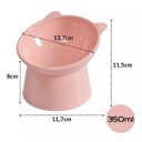 Ver imagem 4 de Kit 02 Comedouro Bebedouro Gatos Pet Elevado Plástico Azul