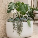 Ver imagem 1 de Vaso Jardineira Fibra de Vidro Lisboa Vietnamita 66,5cm Floreira Branco Fosco
