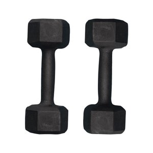 Par de Halter Sextavado Pintado 5kg Academia Treino Fitness