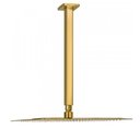 Ver imagem 2 de Ducha Chuveiro Teto Inox Dourado 20x20 Slim Quadrado Suporte Banho Piscina Banheiro Area Externa