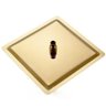 Ducha Chuveiro Teto Inox Dourado 20x20 Slim Quadrado Suporte Banho Piscina Banheiro Area Externa - 9