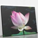 Ver imagem 2 de Quadro Flor de Lótus Rosa Orvalho Fotografia Canvas 140x90cm
