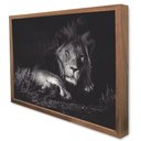 Ver imagem 4 de Quadro Decorativo Leão Preto e Branco em Moldura Caixa TaColado Moldura Trad 1cm Preta com Vidro 40