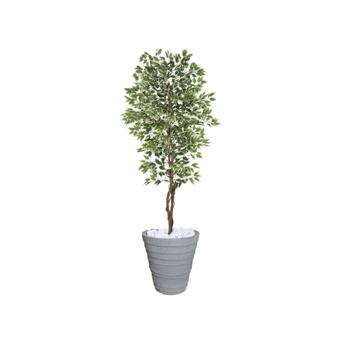 Planta Artificial Ficus Verde Creme 2,10m kit + Vaso Redondo D. Grafiato Cinza 40cm