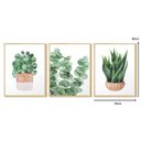 Ver imagem 4 de Kit 3 Quadros para Decoração Plantas Folhagem Sala Cozinha