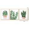 Kit 3 Quadros para Decoração Plantas Folhagem Sala Cozinha - 4
