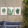 Kit 3 Quadros para Decoração Plantas Folhagem Sala Cozinha - 3