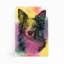 Ver imagem 1 de Quadro Cachorro Border Collie Tinta Aquarela Canvas 30x40cm