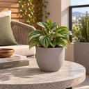 Ver imagem 2 de Vasinho Plantas Tramontina Laos Plástico Cor Concreto 15,5cm