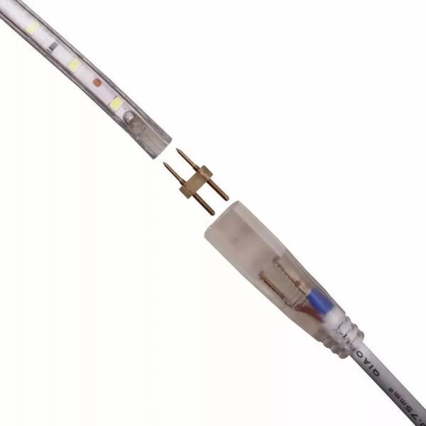 Mangueira Fita LED Chata 5050 10m Branco Quente 6mm 60 LEDS/m 220V - 5