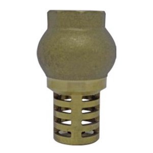 Válvula Fundo De Poço Com Tela De Metal 2 Pol - Emmeti