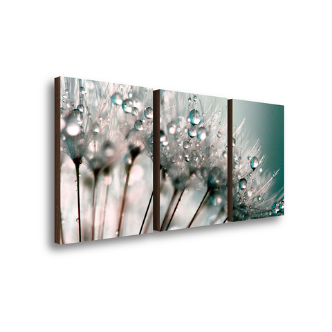 Kit 3 Quadros Decorativos Dente de Leão 40x60cm