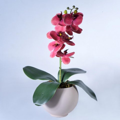 Arranjo de Orquídea Artificial Goiaba em Vaso Nude
