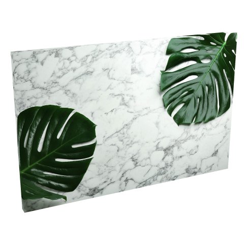 Quadro Decorativo em Tela com Borda Infinita Costela de Adão:60x40