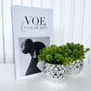 Ver imagem 2 de Decoração sala livro fake + dupla vaso cachepô prateado
