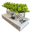Ver imagem 1 de Decoração sala livro fake + dupla vaso cachepô prateado