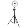 Highlight de Led Ring Light USB 32 cm com Tripé Ring Fill Light 32cm - 1