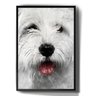 Quadro Decorativo Maltês Desenho Cachorro Fofo Arte - 1