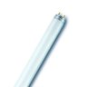 Lâmpada Fluorescente Tubular 18W OSRAM L18W765 - 1