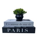 Ver imagem 1 de Decoração sala dupla livro fake + vaso cachepô preto decor