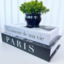 Ver imagem 3 de Decoração sala dupla livro fake + vaso cachepô preto decor