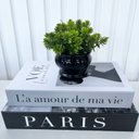 Ver imagem 4 de Decoração sala dupla livro fake + vaso cachepô preto decor