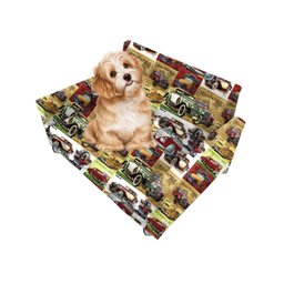 Poltrona Sofazinho Pet Caes e Gatos Porte Medio e Pequeno Bob Carros Antigos - 1