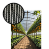 Tela Agro P/ Plantações Média/padrão Branca 3x100m (300m²) - 3